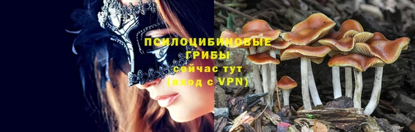 амф Беломорск