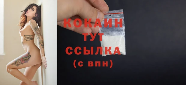 стаф Белокуриха