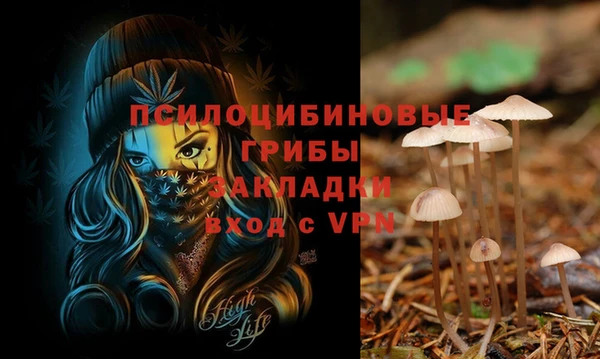 амф Беломорск