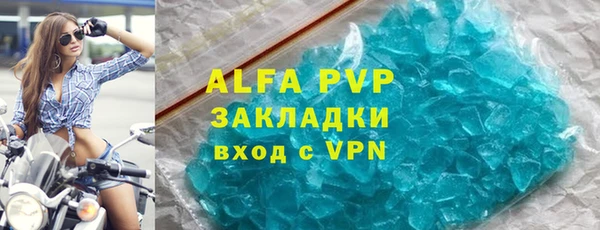 стаф Белокуриха