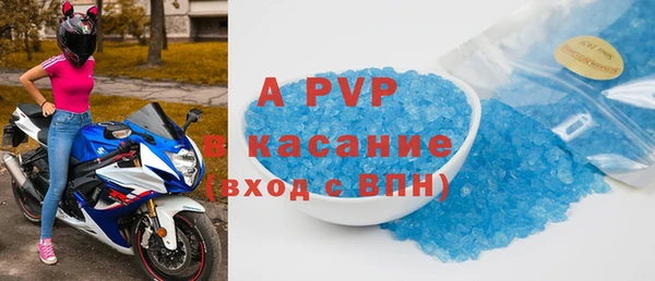 стаф Белокуриха